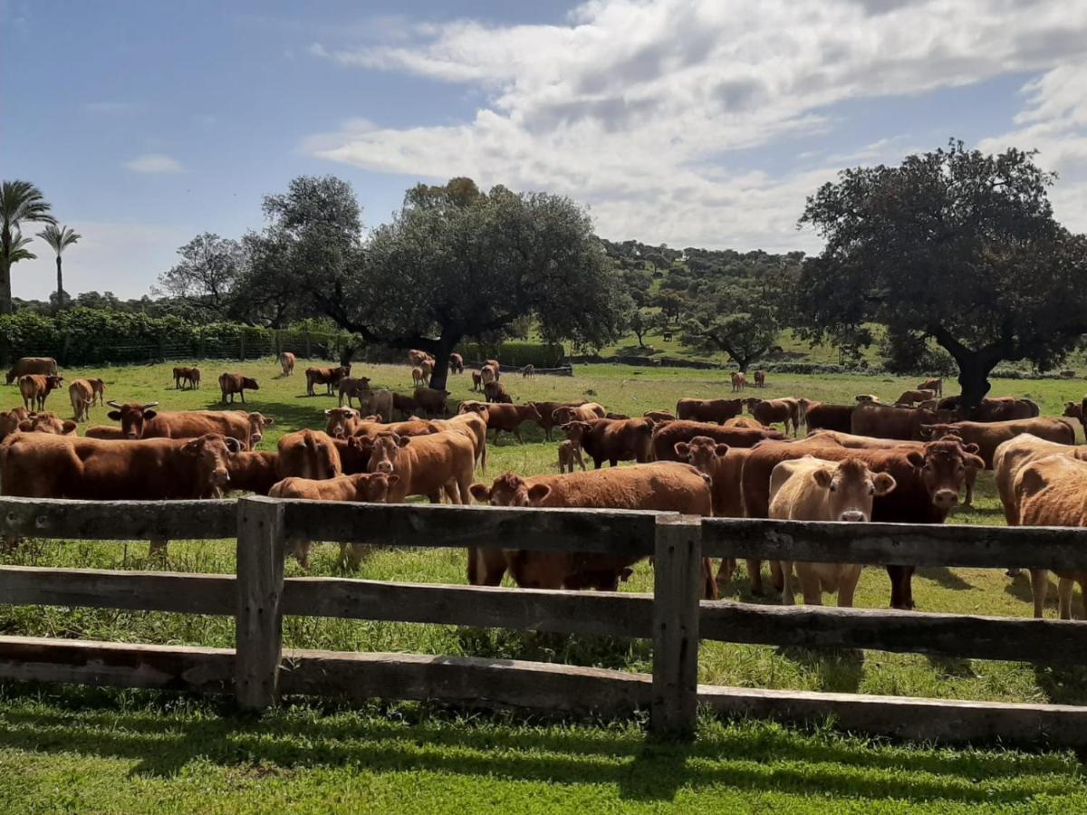 Alojamiento Rural Finca Barral 埃尔加罗沃 外观 照片