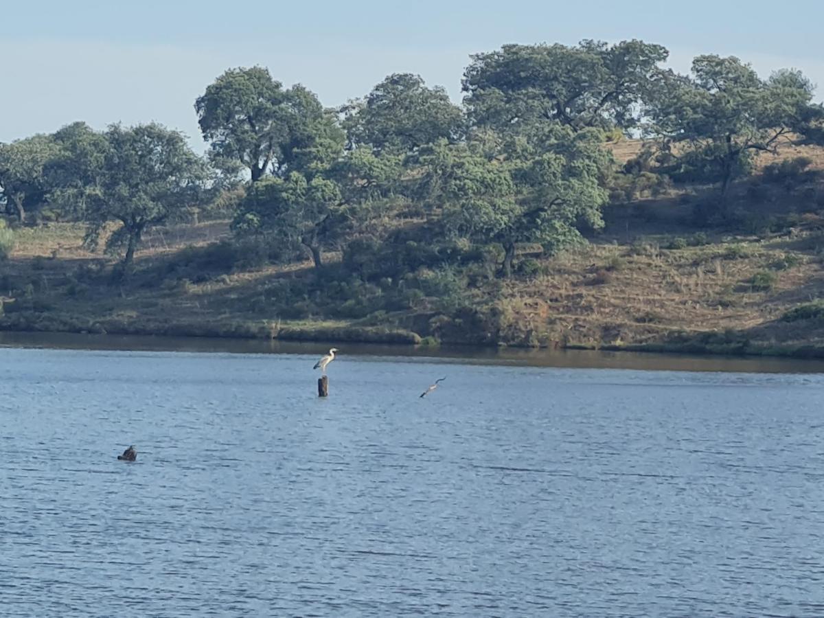 Alojamiento Rural Finca Barral 埃尔加罗沃 外观 照片