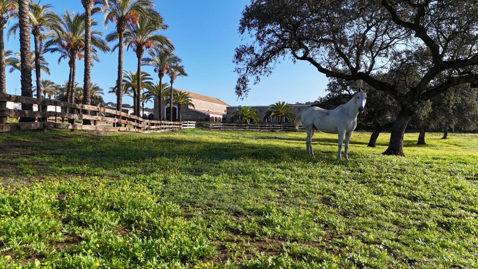 Alojamiento Rural Finca Barral 埃尔加罗沃 外观 照片