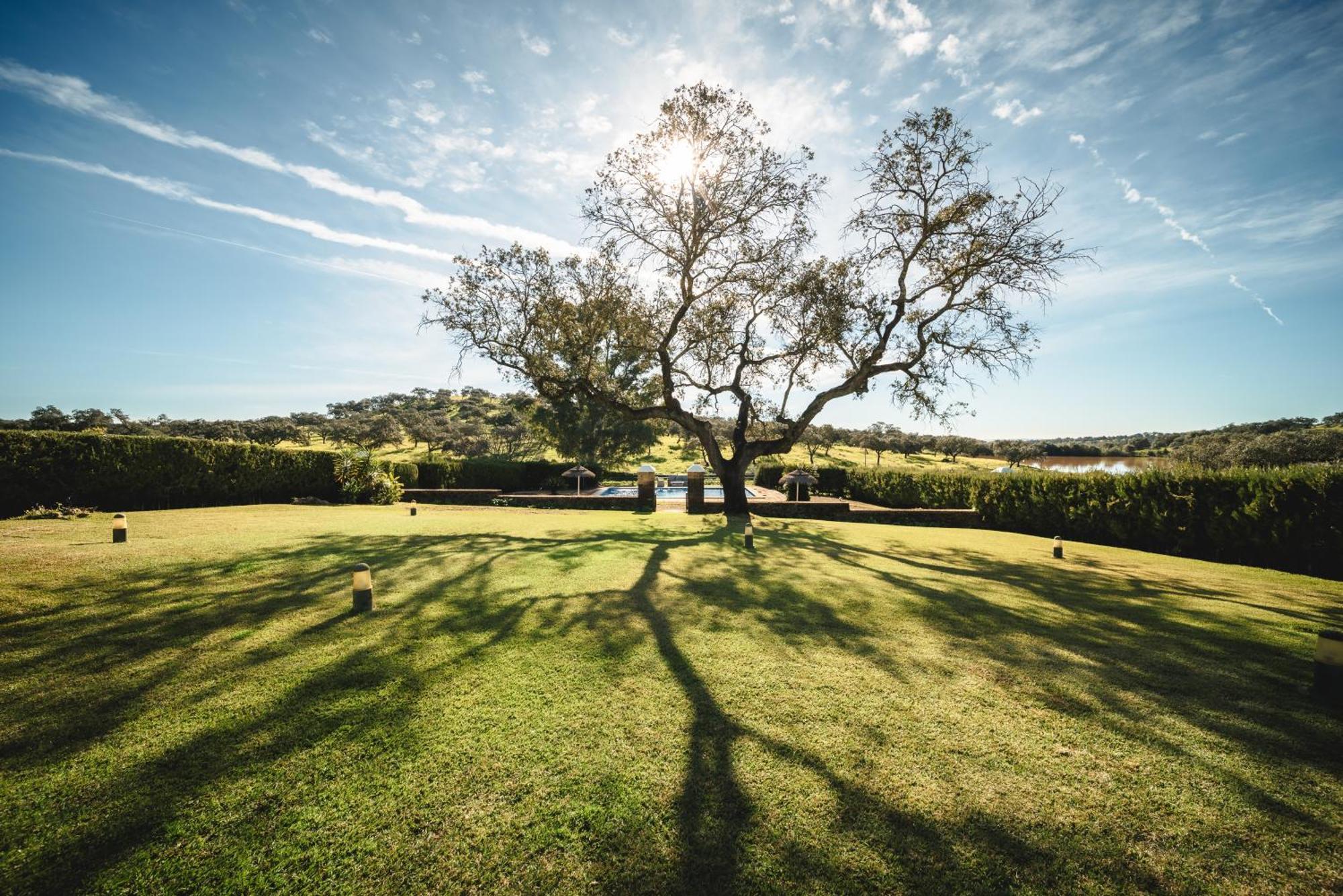 Alojamiento Rural Finca Barral 埃尔加罗沃 外观 照片