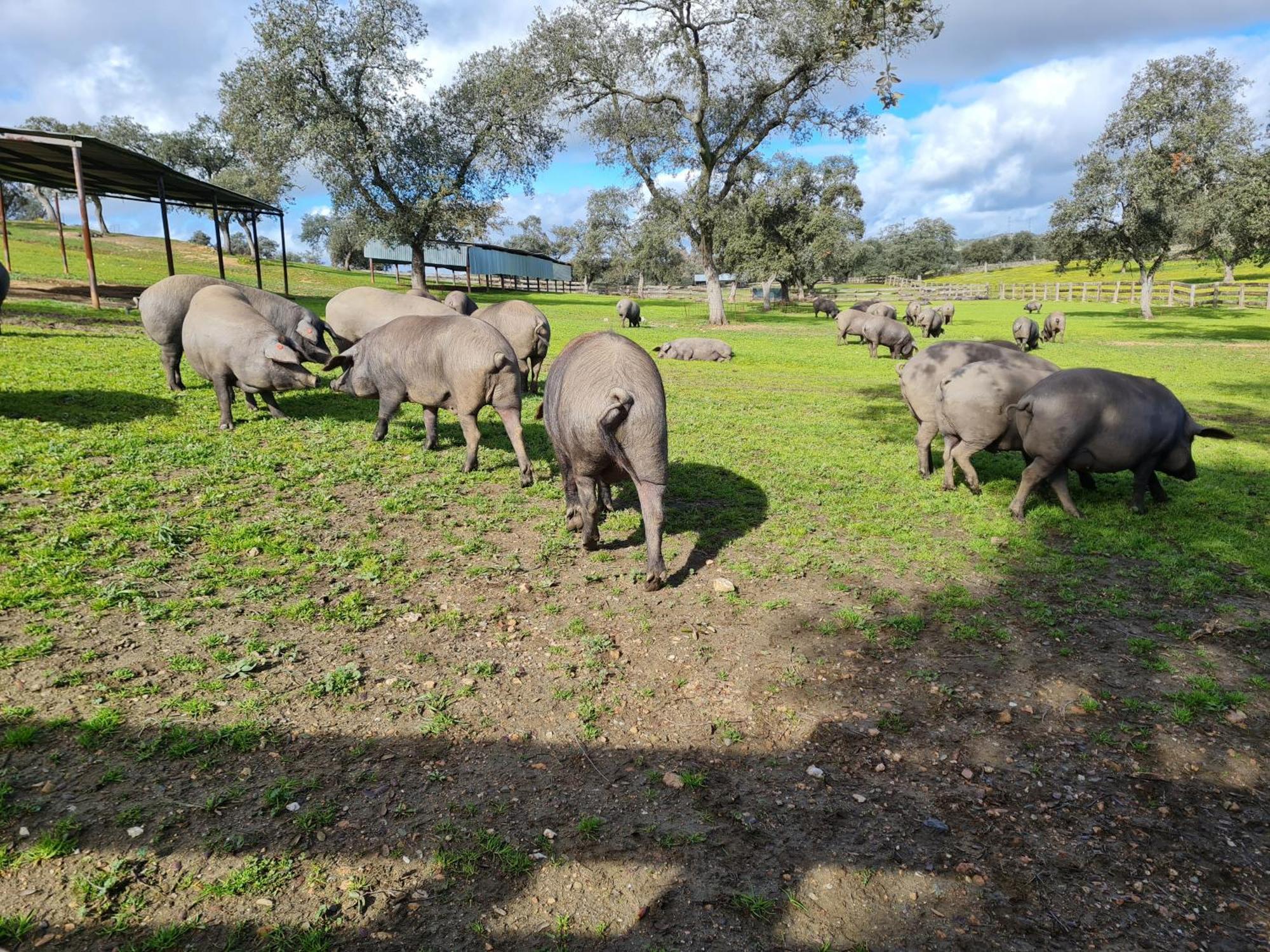 Alojamiento Rural Finca Barral 埃尔加罗沃 外观 照片