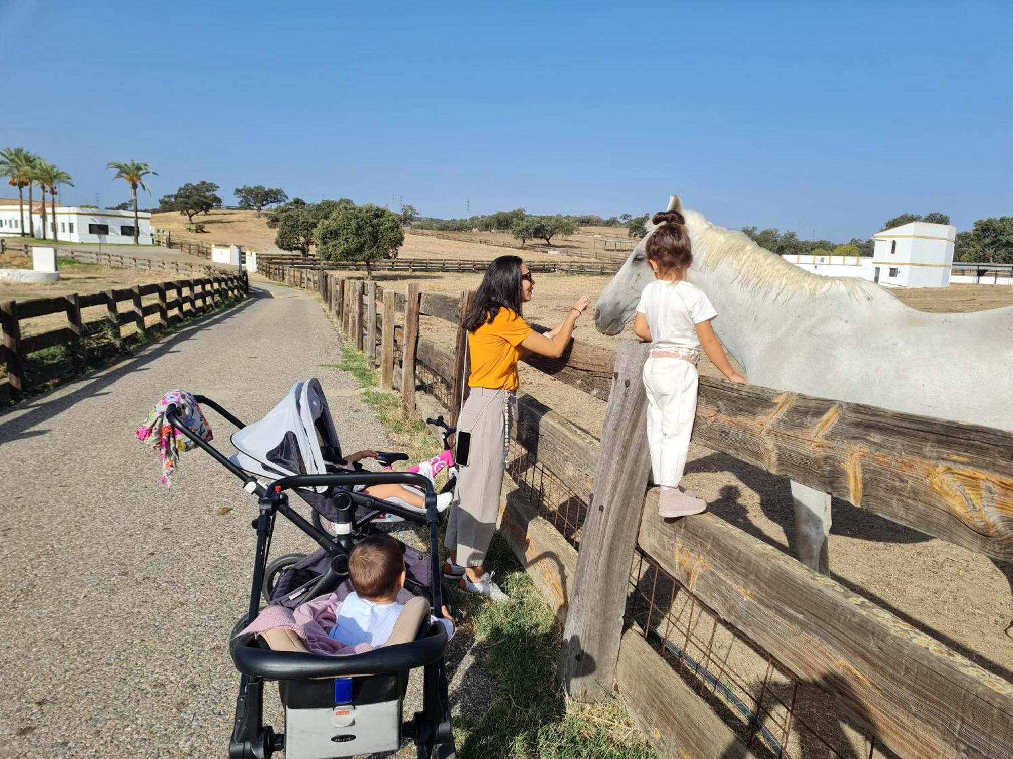 Alojamiento Rural Finca Barral 埃尔加罗沃 外观 照片