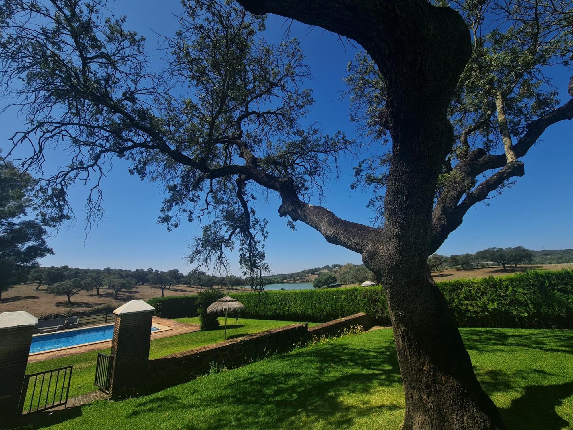 Alojamiento Rural Finca Barral 埃尔加罗沃 外观 照片