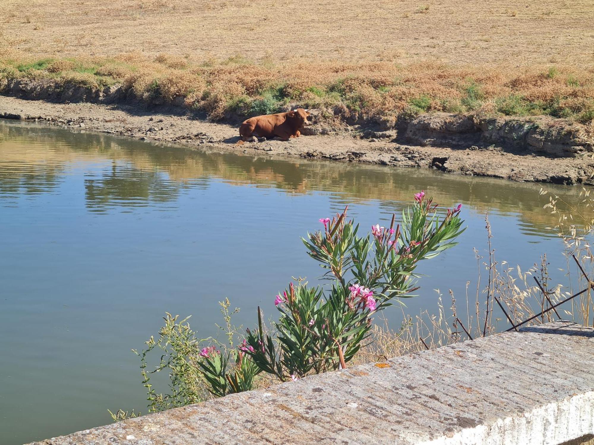Alojamiento Rural Finca Barral 埃尔加罗沃 外观 照片